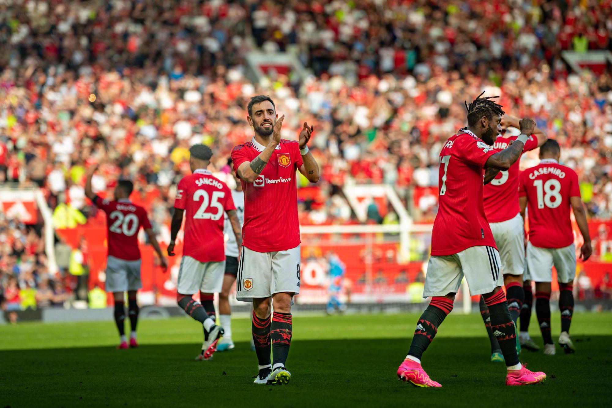 可能在培养 可能在培养